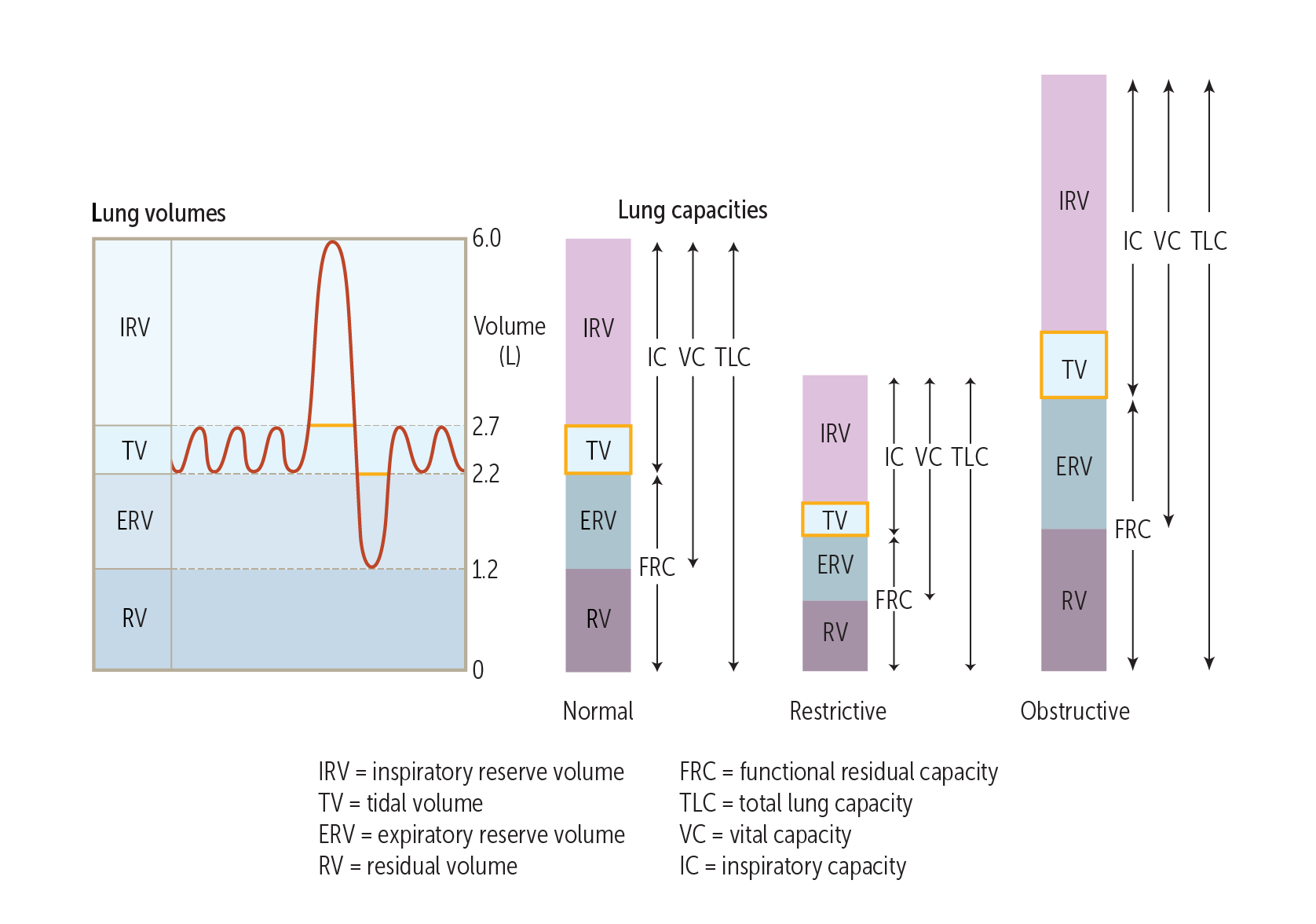 Obstructive and Restrictive Lung Diseases - USMLE-Rx