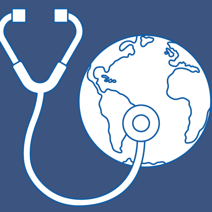 Learn more about the Global Health Brick Collection from ScholarRx.
